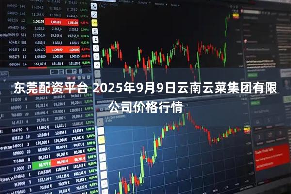 东莞配资平台 2025年9月9日云南云菜集团有限公司价格行情