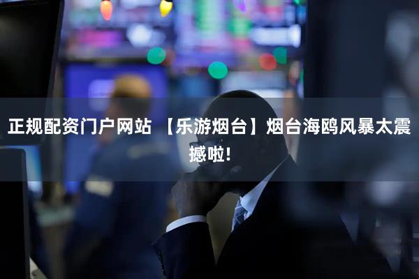 正规配资门户网站 【乐游烟台】烟台海鸥风暴太震撼啦!