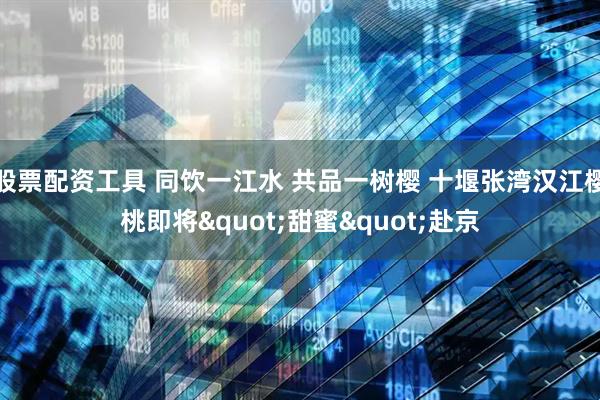 股票配资工具 同饮一江水 共品一树樱 十堰张湾汉江樱桃即将"甜蜜"赴京